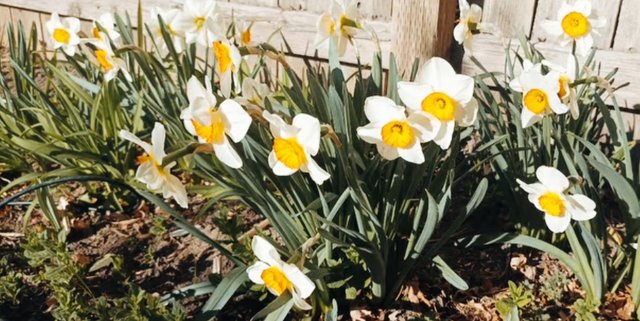 IMG_20250407_135819.jpg