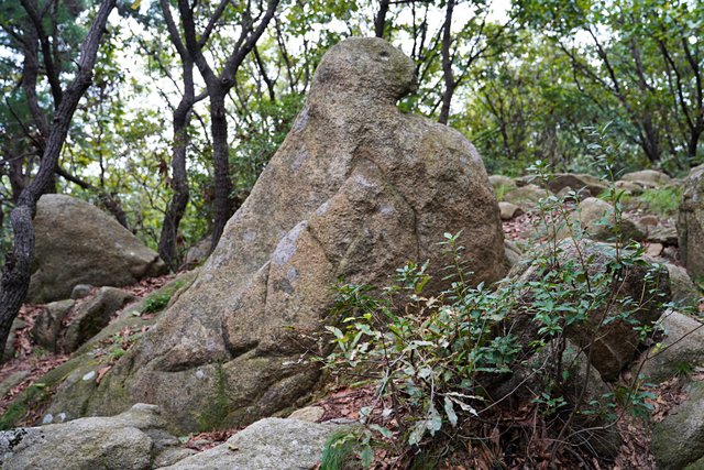b-DSC02055.JPG