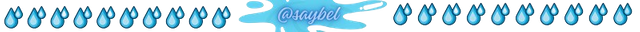 _saybel-removebg-preview.png