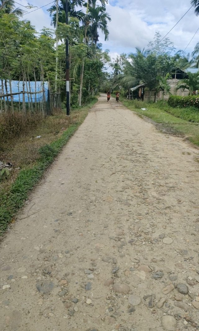 1000151161.jpg