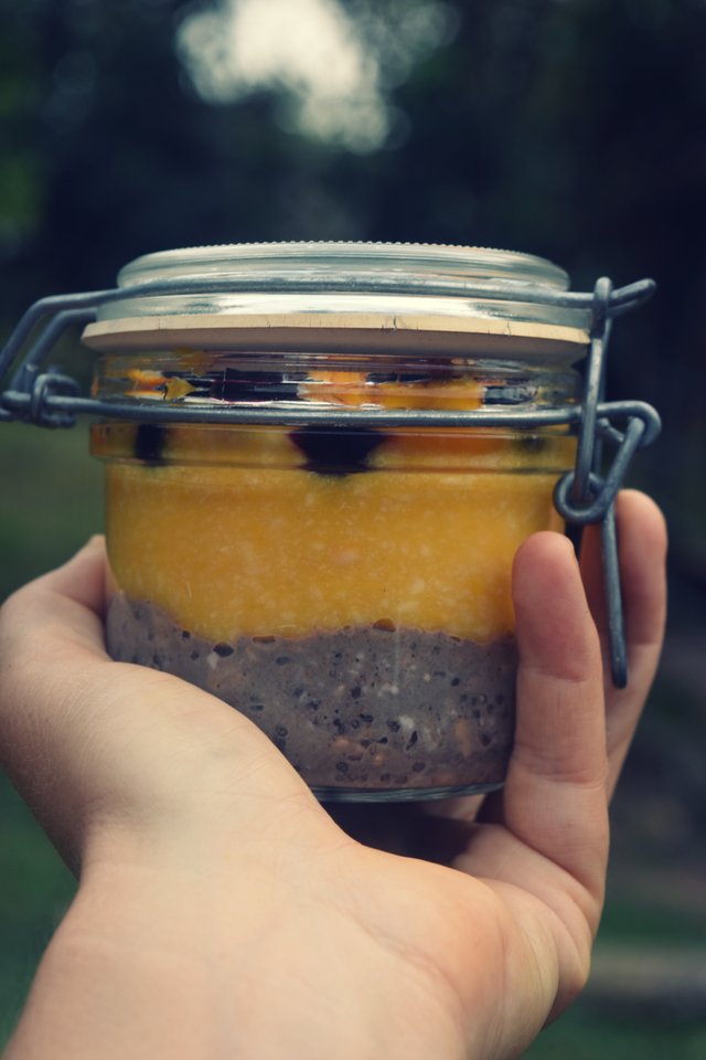 BLUEBERRY-GUAVA-MANGO-OVERNIGHT-OATS-12.jpg