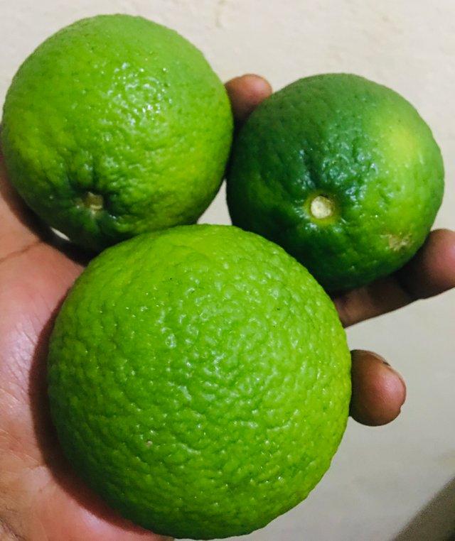 A9413A0C-8BD1-4A23-8E91-E224588EECB5.jpeg