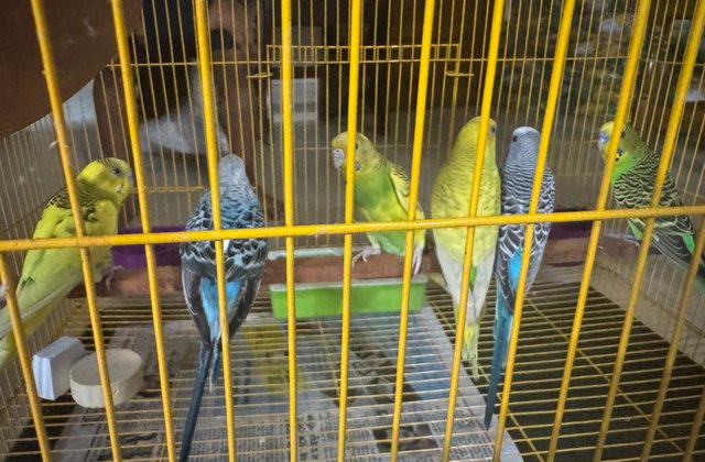 IMG_8886.jpeg