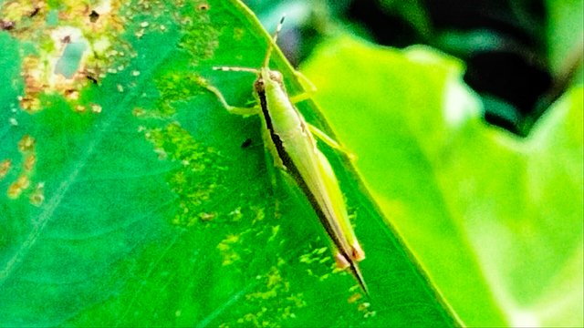 IMG20230811180743_01.jpg