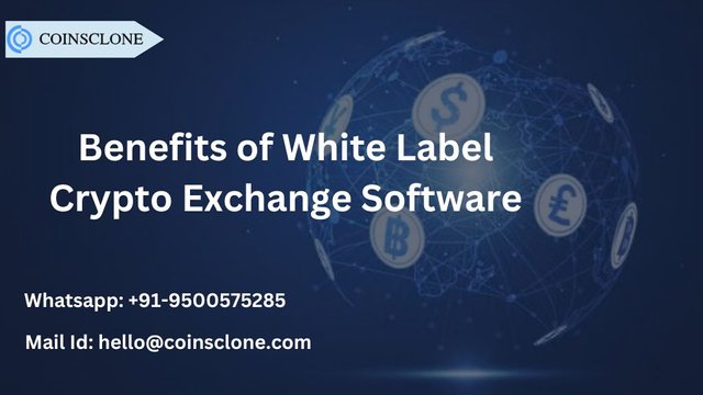 benefits of whitelabel.jpg