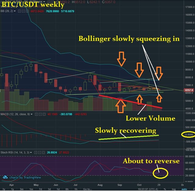 Nov 1 BTC T&A.jpg