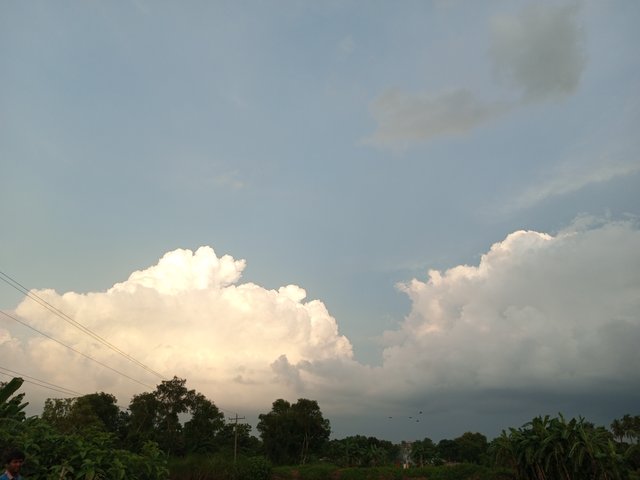 IMG_20240708_183915_513.jpg