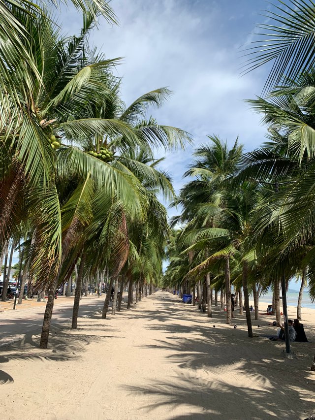 Bang Saen Beach13.jpg