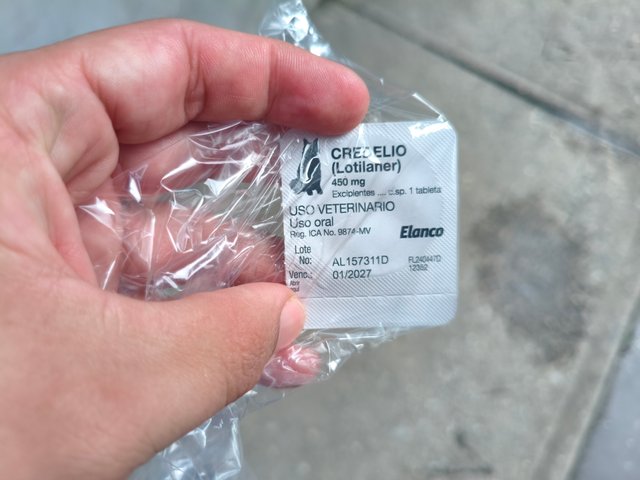 1000086485.jpg