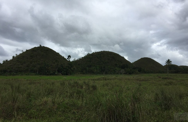 chocolate hills6.png