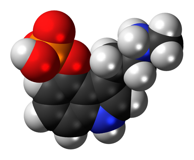 1024px-Baeocystin_zwitterion_3D_spacefill.png