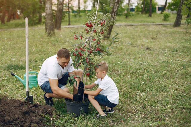 father-with-little-son-are-planting-tree-yard.jpg