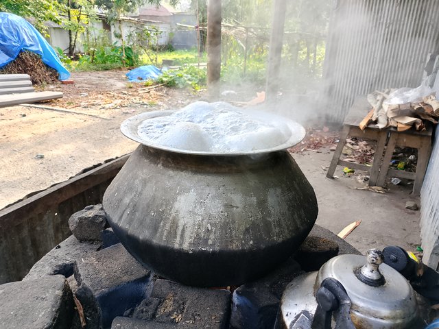 1000040389.jpg