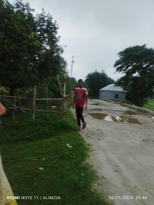 IMG_20250621_054643.jpg