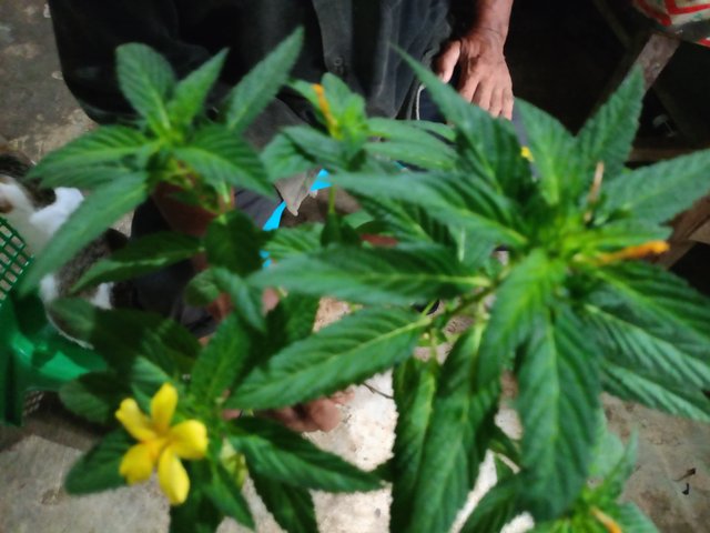 IMG20250713081744.jpg