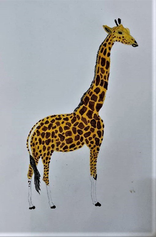 WhatsApp Image 2023-08-16 at 22.34.50 (2).jpg