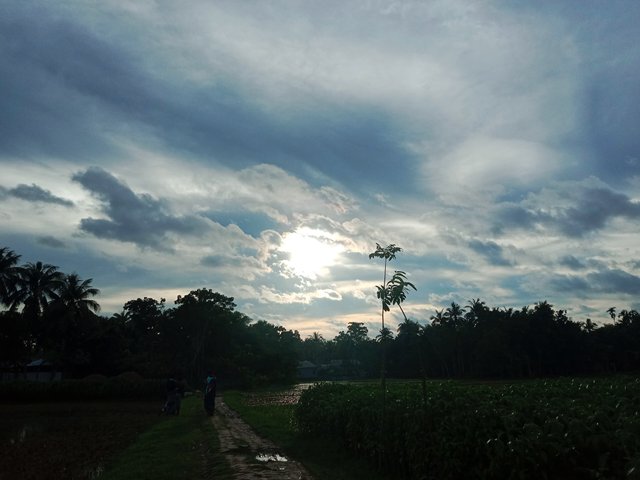 IMG_20250602_222221.jpg
