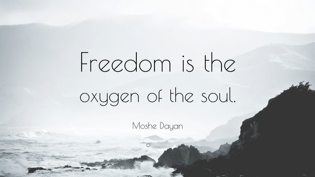 38005-Moshe-Dayan-Quote-Freedom-is-the-oxygen-of-the-soul.jpg