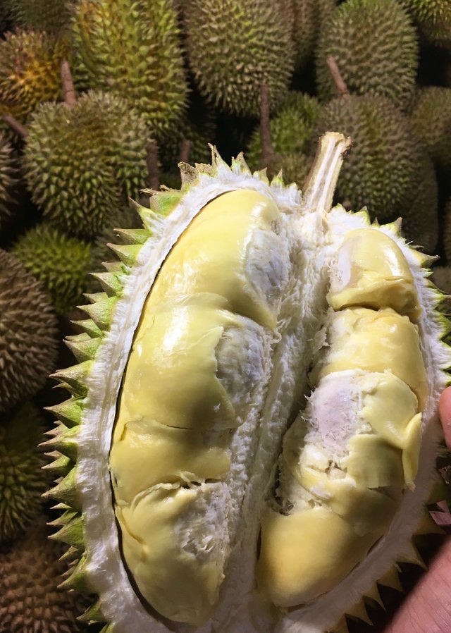 Durian.jpg