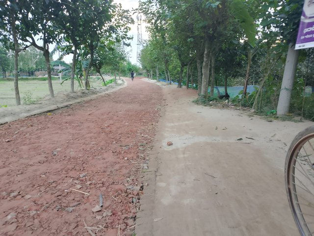 4091.jpg