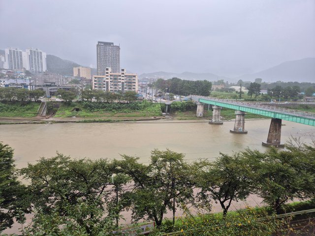 1000031840.jpg