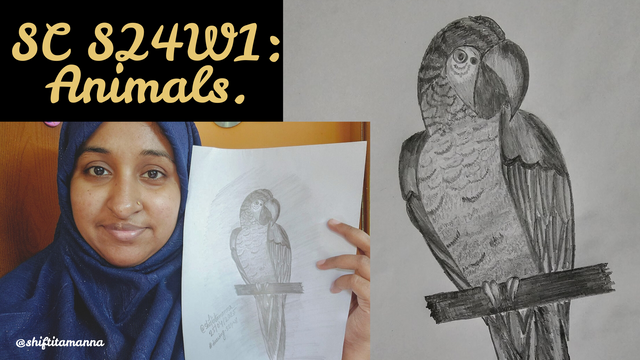 Recipe of the Day, Week No. 54 (3).png