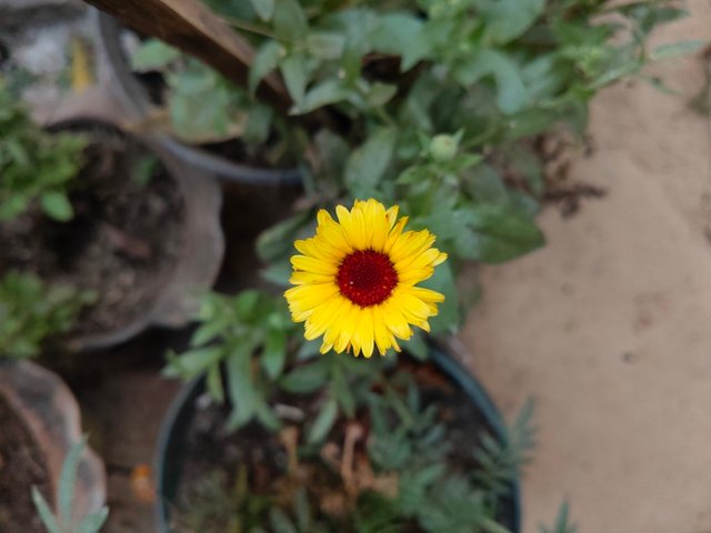 1000120507.jpg