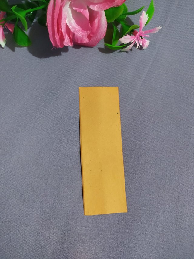 1000015673.jpg