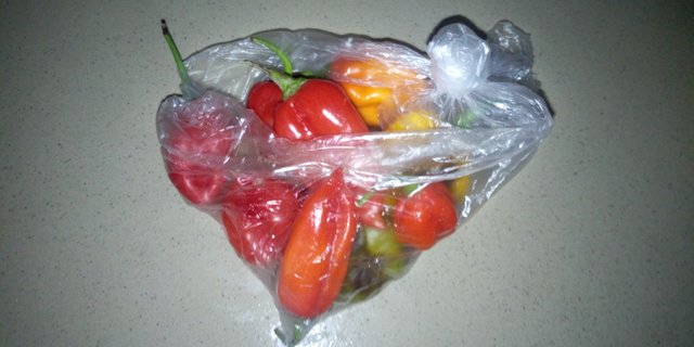 IMG_20201117_123226_7.jpg