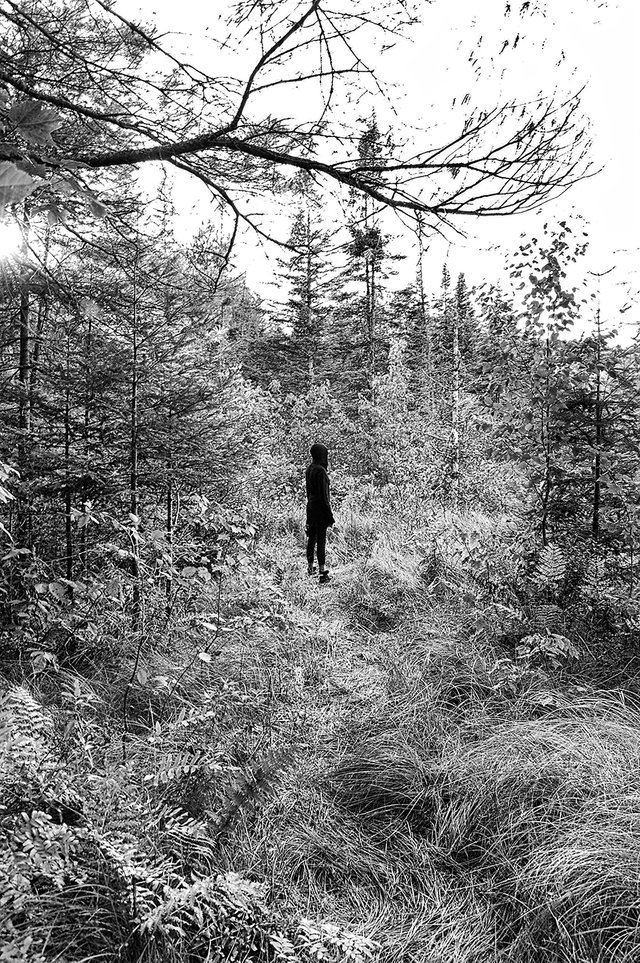 girl-in-forest.jpg