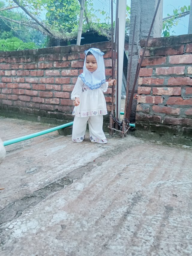 IMG20240812173844.jpg