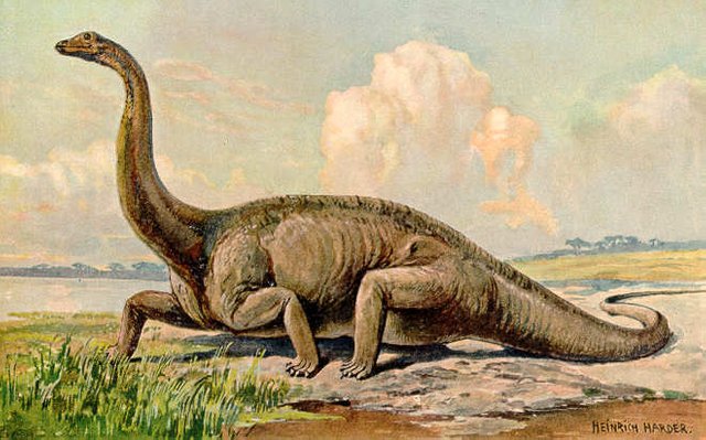 Diplodocus_Heinrich_Harder.jpg