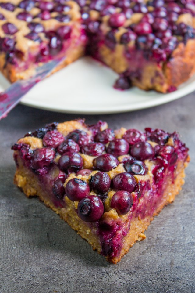 Blueberry cake (2 von 3).jpg