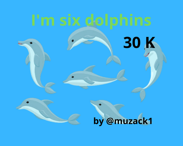 I'm five dolphins.png