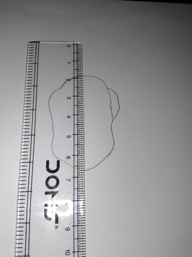 1000054007.jpg