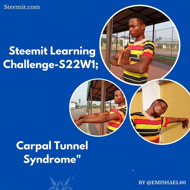 Steemit Learning Challenge-S22W1; Carpal Tunnel Syndrome" _20241219_125323_0000.jpg