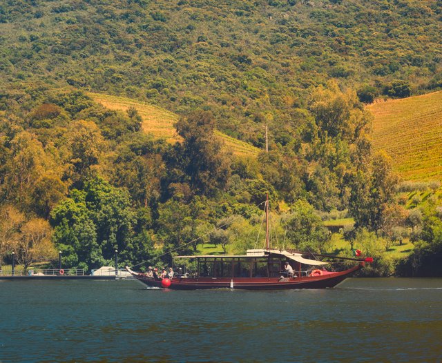 DSC_0780_2.jpg