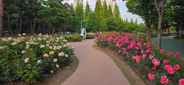 KakaoTalk_20250605_220126977_05.jpg
