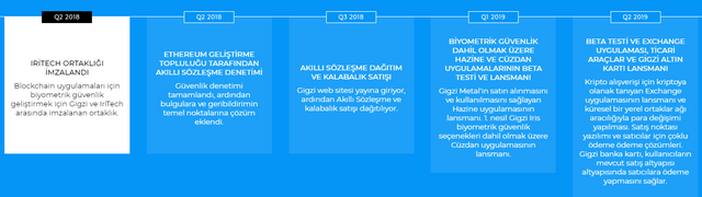 FireShot Capture 285 - Gigzi, bağımsız varlık yönetimi - https___www.gigzi.com_.png