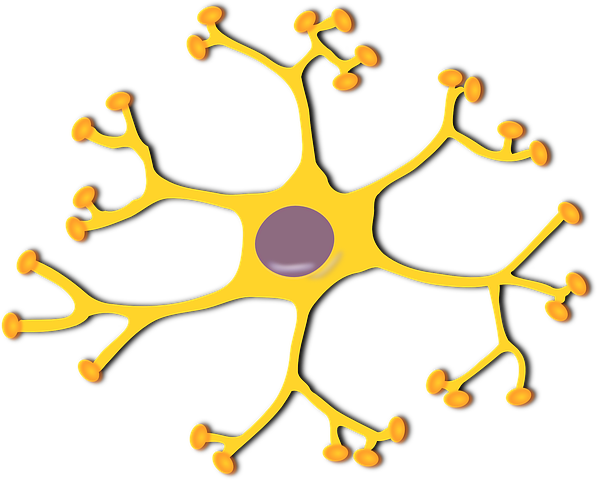 nerve-cell-145909__480.png