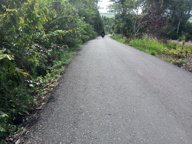 IMG_20240519_153912_238.jpg