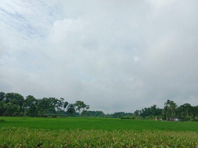 IMG_20250927_064544.jpg