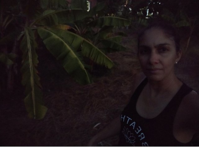 IMG_20250402_174952.jpg