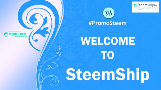 Steemit Steem Blog.jpg