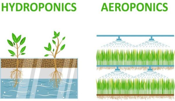 Hydroponics-Vs-Aeroponics-Source-by-Indoor-Farmer..jpg