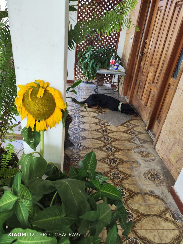 Sin título-3.jpg