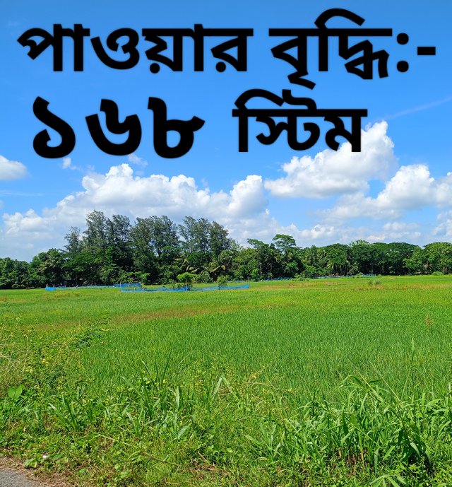 IMG_20250621_001651.jpg
