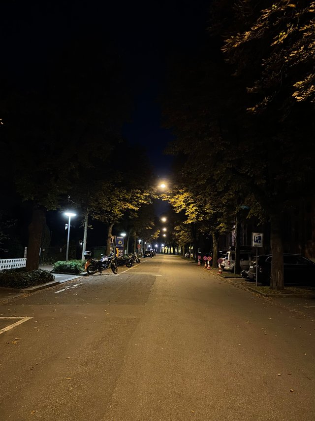 IMG_7911.jpeg