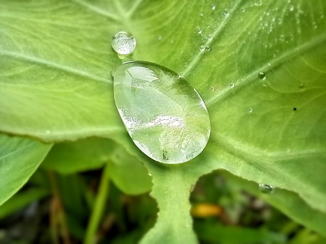 20250414_081454~2.jpg
