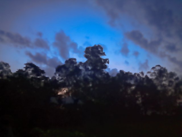 1000022284.jpg